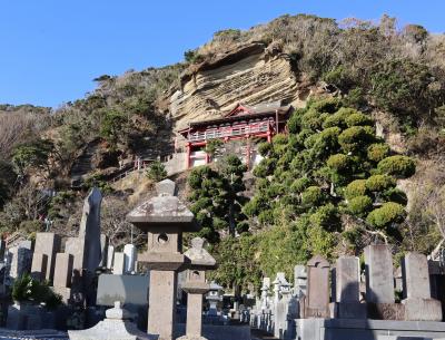 新春南房総の旅・・鋸南町の水仙、渚の駅たてやま、千倉のお花畑、崖観音、南房総道楽園をめぐります。