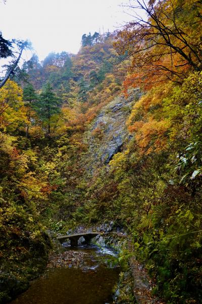北東北紀行ー目標「紅葉の奥入瀬渓谷の散策」6日目 西目屋ー暗門の滝ー大湯温泉