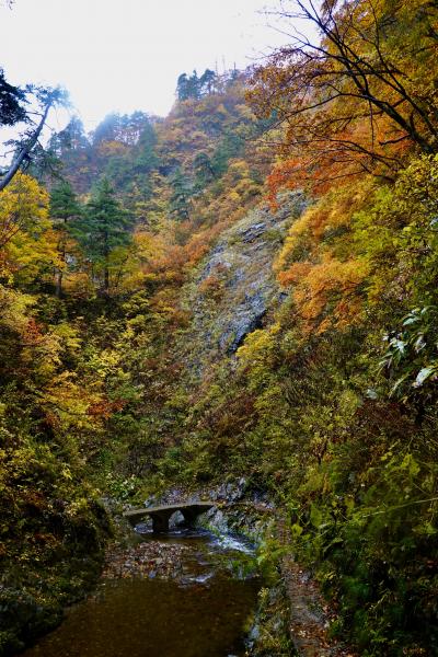 北東北紀行ー目標「紅葉の奥入瀬渓谷の散策」6日目　西目屋ー暗門の滝ー大湯温泉