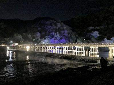 ＊＊＊冬の京都 その③～大覚寺と嵐山花灯路とグルメ～＊＊＊