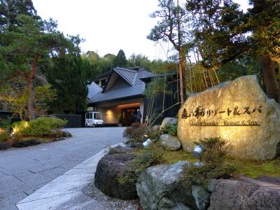 年末に三世代で山代温泉【森の栖】