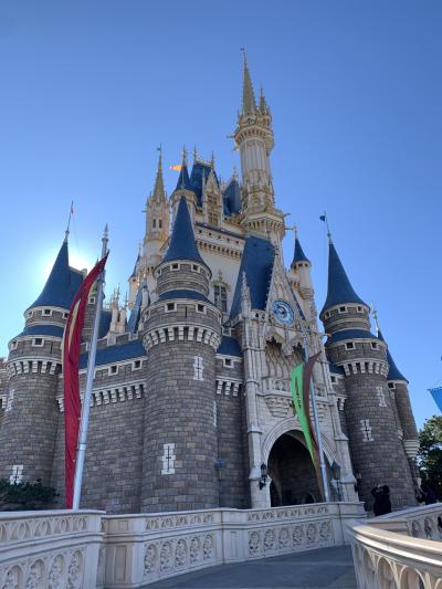 コロナ ディズニーランド
