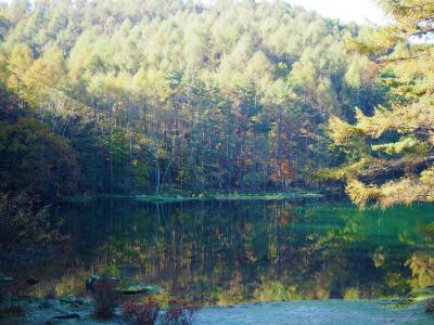 御射鹿池の鏡に映ったような木々の景色が見たくて長野へ日帰りドライブ