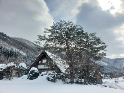 白川郷と飛騨高山 2泊3日、白川郷編。