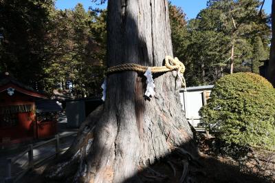 富士五湖のクリスマス旅♪　Vol.13　☆「北口本宮冨士浅間神社」：早くも正月雰囲気♪