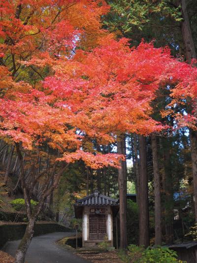 2020年 秋の長野で紅葉三昧【3】ご利益がいっぱい☆神社とお寺に囲まれた別所温泉散策