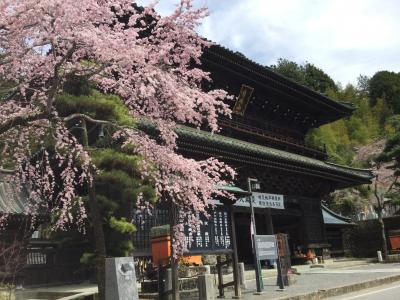 身延山久遠寺と温泉