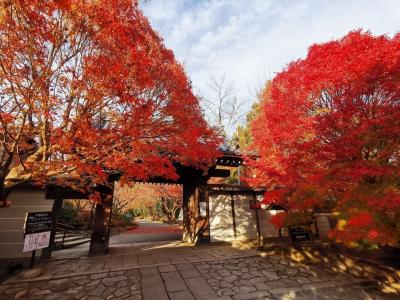 京都家族旅