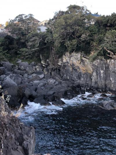 富戸の三島神社と龍宮神社　太田水産らんち