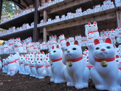 三軒茶屋 駒沢 猫スポット に関する旅行記 ブログ フォートラベル 東京 三軒茶屋 駒沢 猫スポット に関する旅行記 ブログ フォートラベル 東京