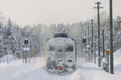 きた北海道フリーパスで行く真冬の宗谷本線、入場券集めの旅　2日目：宗谷本線を反復横跳び【鉄道旅行】