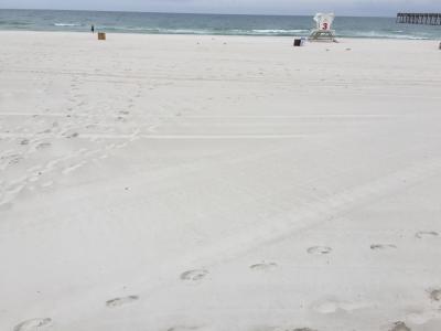 フロリダ州　ペンサコーラビーチ　ー　白い水晶の砂のビーチ