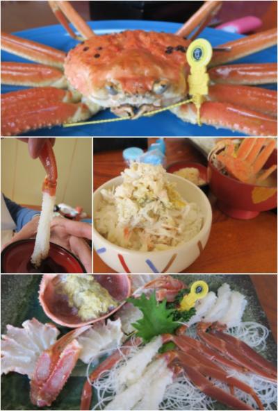 初めて「タグ付き蟹」を求め福井県越前へ
