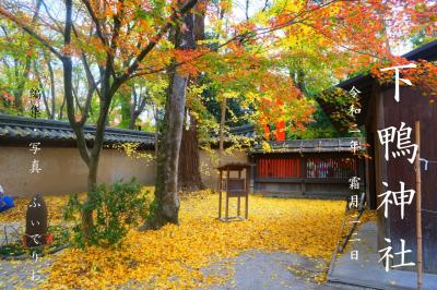 2020秋　関西・京都 紅葉めぐりの旅〈第５幕〉【２日目：下鴨神社編】