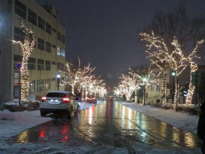 2020DEC「JALダイナミックパッケージ函館家族旅」（3_夜景）