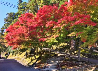 ひと足早く秋を感じに比叡山へGo♪　