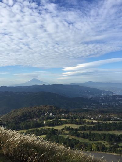 1度くらいはGO TOで　晩秋の伊豆