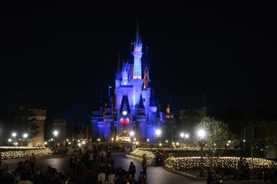 東京ディズニーリゾートのテーマパーク クチコミ人気ランキングtop フォートラベル 千葉県