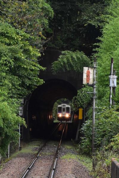 震災復興中の田老の町歩きと三王岩見学2020～津波が来たらてんでんこ～（岩手）