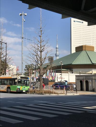 コロナ禍の大相撲初場所観戦記