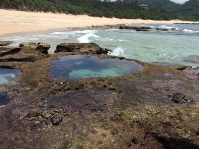 【逆海外旅行】奄美大島３泊４日の旅　その３