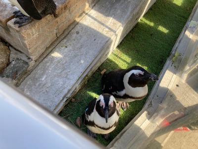 冬のマリンワールド海の中道