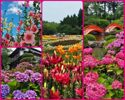 ☆2020年夏☆前編☆もっぱらお花を見に行くだけの夏だった・・・☆