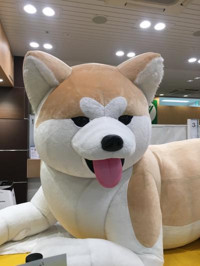 八王子駅みどりの窓口にいる巨大秋田犬に会いに行く！