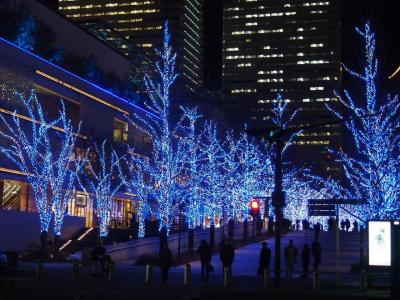横浜の冬の風物詩・ヨコハマミライトのイルミネーションと時価のアジフライ