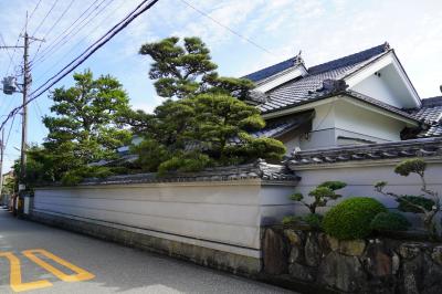 2020　粟生新家散歩