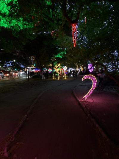 Go to 広島一人旅　３　～広島ライトアップ編～