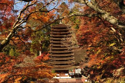 奈良・宇治の紅葉旅