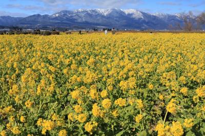 滋賀県のフォトジェニックな風景を撮る♪　三島池、高島市の雪の田圃アート、第一なぎさ公園の菜の花、琵琶湖の砂州＆夕景♪　　　　　　　　　