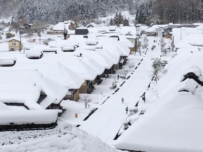 5・7歳児連れ、年始はUA特典で松山→伊丹→福島：福島編