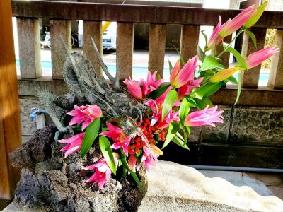 龍神様の花手水　東京下町の神社仏閣巡り