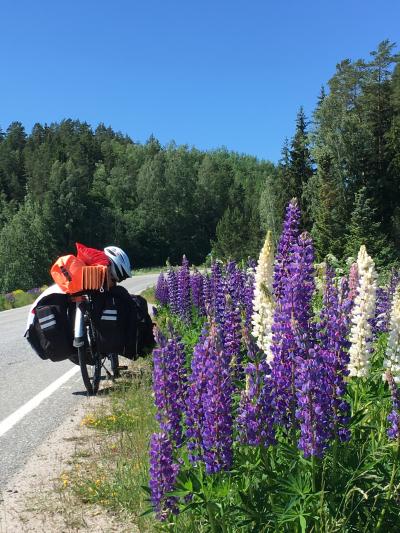 よたよた’’北欧”自転車キャンプ旅　トゥルクへ-2019/6/10　その2