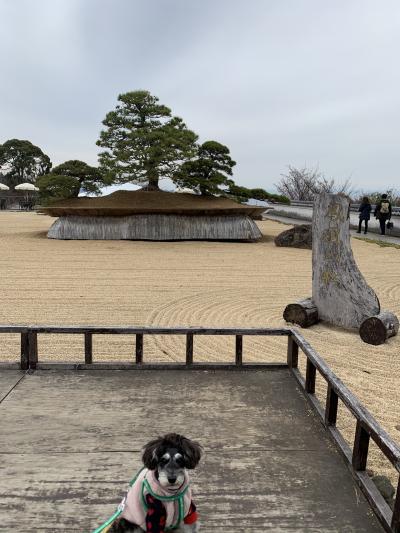 伊豆高原 犬 に関する旅行記 ブログ フォートラベル 静岡県 伊豆高原 犬 に関する旅行記 ブログ フォートラベル 静岡県