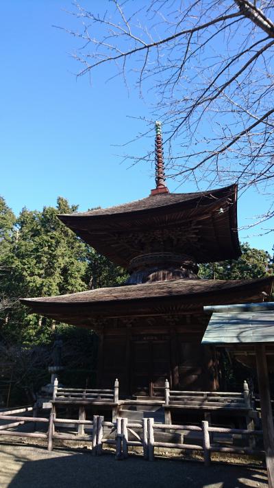 【Day out w/ N】えっ!マジっすか? 重文の建物あるの? <東観音寺>