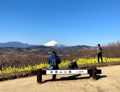菜の花を見に吾妻山へ　そして相模国六社巡り(川勾神社)