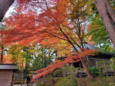 秋の平泉&amp;松島の旅*1日目*