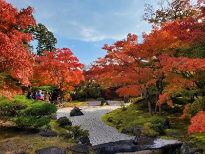 秋の平泉&amp;松島の旅*2日目*