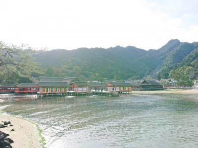 明けましておめでとうさるく 宮島初詣①