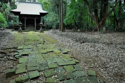 Amazing 房総 Vol.04　秋暮れど 廃寺に飛びかふ 蚊の羽音… 「幡谷薬師堂」で生々流転の美しさに酔いしれる　オッサンネコの一人旅