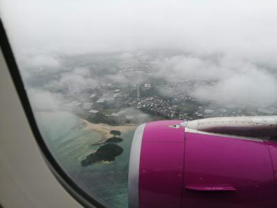 中部国際空港ー那覇空港 peach就航初便に乗ってみた