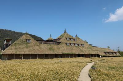 2020年　4月　滋賀県　近江八幡市　ラコリーナ