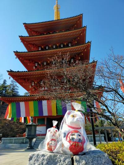 俺の東京　高尾山と高幡不動で節分会をはしご編　抱きだるま猫も買いました