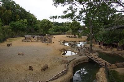 「とくしま動物園」と「しろとり動物園」に行ってきました。1日目