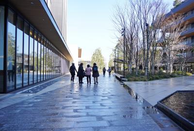 Japan　雨あがりのしあわせ　グリーン・スプリングス　～ミツバチばあやの冒険～
