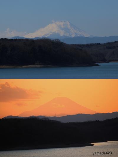 狭山湖の富士山　朝（青富士）・夕（黄金富士）2021 Mt.Fuji in Lake Sayama/morning & evening