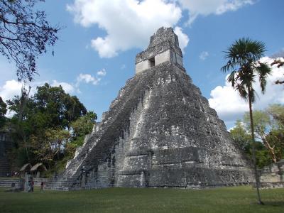 2012 GW メキシコ＆グアテマラの旅③ マヤ遺跡を堪能するの巻 その3（ティカル）
